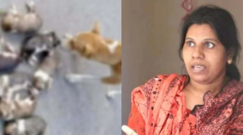 ৮ কুকুরছানা হত্যা: ঈশ্বরদীর সরকারি কর্মকর্তার স্ত্রী গ্রেপ্তার